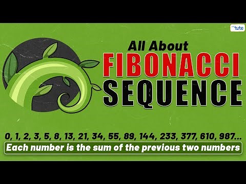All About Fibonacci Sequence | Rabbit Breeding Problem | Fibonacci | Math | Letstute