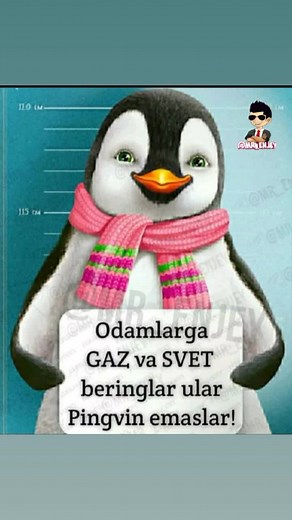 maktabimda (@maktabimda4)’s videos with original sound - LOVE YOURSELF