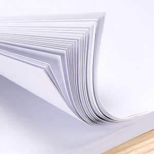 [Hot Item] Premium 80 GSM 216mm X 279mm (8.5" X 11") F4 Paper Letter Size/ Copy Paper/Printer Paper for Office and School Supplies