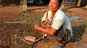 94K views · 1.9K reactions | Soo wants to help his grandfather, Grandfather tells Soo go away | Monkey Soo | Facebook