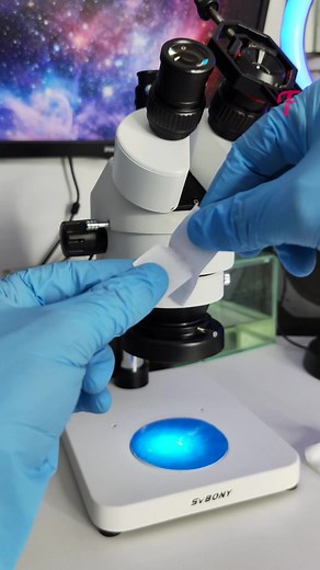 Macro Tear: Velcro's Intricate Rupture Under the Microscope #FabiosaExperiment #Fabiosa #diy #craft #Creative | Fabiosa Hearty