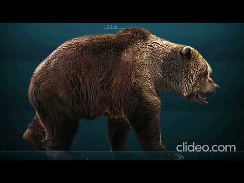 Híbridos Prehistóricos