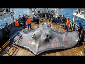 The 6000KG Sea Devil — Catching a Giant Stingray in Deep Waters