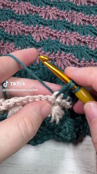 The Seashell Stitch #crochet #crochetstitches #crochetersoftiktok