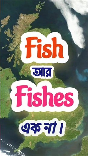 Fish vs Fishes | Easy English Grammar Lesson #shorts