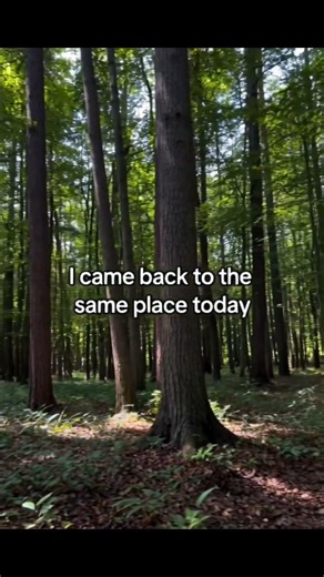 11 février 2026
