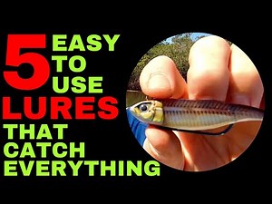 The 5 Best Fishing Lures For Beginners and Kids