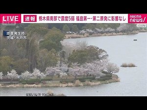 [Magnitude 5.0 earthquake in southern Tochigi Prefecture] No impact on Fukushima Daiichi and Dain...