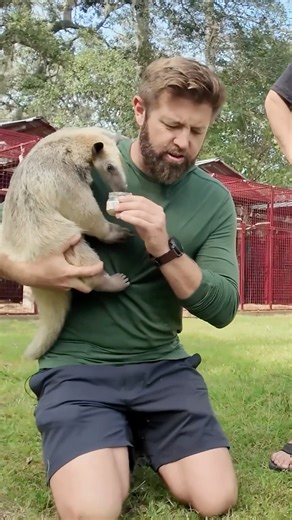 15K views · 275 reactions | Real life Pokemon feeding | Forrest Galante | Facebook