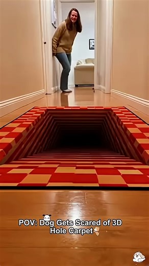 Me dicen Aki 🌈 Activista de la discapacidad y diversidad 🌈 on Instagram: "¿Por qué reacciono como los perros ante las alfombras 3D? Los perros frenan porque no pueden interpretar la ilusión de profundidad: su cerebro no procesa las texturas y sombras en 2D como si fueran 3D. 1. El ACV temprano + parálisis cerebral + agenesia del cuerpo calloso afectan cómo el cerebro integra información visual El cerebro tuvo que “reorganizarse” muy temprano para procesar lo visual, y a veces toma las sombras,