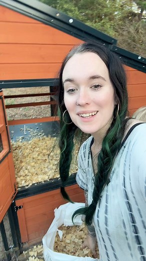 72K views · 2.7K reactions | Chick move out day. Time to fly the nest and get out of the brooder. Always the best feeling getting rid of the brooder work. It's the worst! #Chickens ##BackyardChickens #FarmLife #Homestead #Homesteading | The Hot Mess Homestead | Facebook