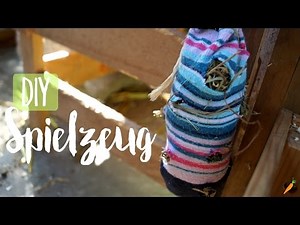 DIY Kaninchenspielzeug- Beschäftigungsideen für deine Kaninchen!