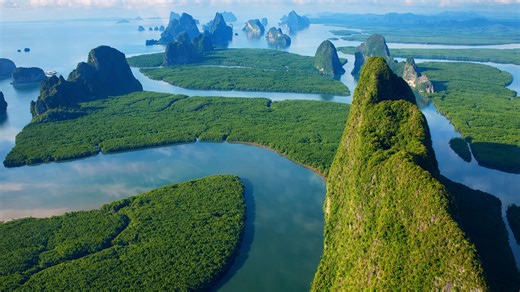 Thailand’s floating jungle maze