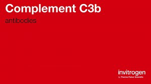 Complement C3b antibodies from Thermo Fisher Scientific