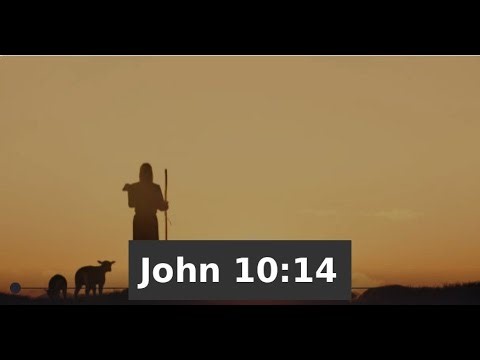 John 10:14 (ESV) | Awana | Agents of Grace