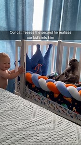 If I don’t move, he can’t see me. | Cheezburger