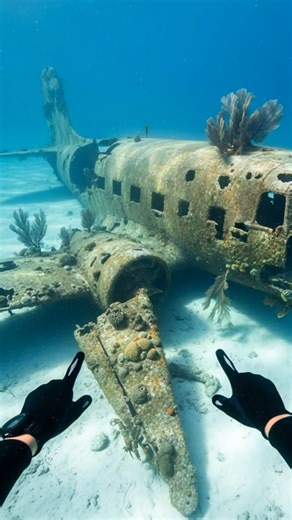Found a CRASHED PLANE Underwater! ✈️😱 (What's Inside?) #shortshorts #sea #plain #broken