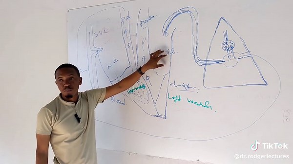 Pulmonary Circulation/Full Video/Summary #tanzania🇹🇿 #videoviral #kenyantiktok🇰🇪 #zambiantiktok🇿🇲 #uganda #