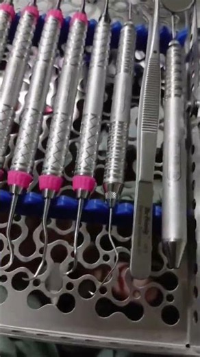 Ultimate Dental Hygiene Setup: Hu-Friedy 10 Pcs Instrument Set