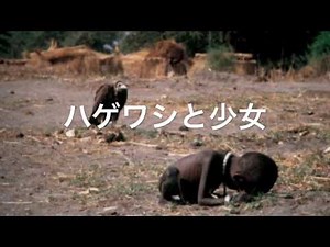 【27】検索してはいけない言葉をマイペースに実況【ハゲワシと少女】