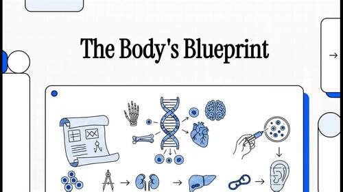 Stem Cell & Engineering Tissue - Explanation Video!