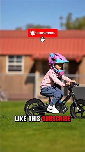 When Dogs Show Talent That Inspires Humans