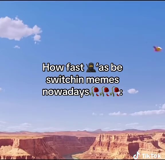 The Great Meme Flood: How Fast Memes Are Switching