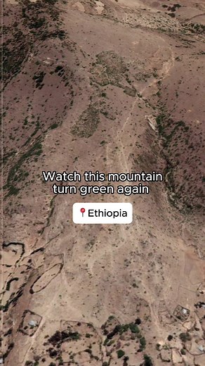 Reforesting Tough Climates: A Success Story in Ethiopia