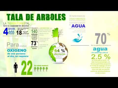 INFOGRAFIA TALA DE ARBOLES