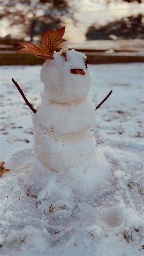 Last sleetman of the 2026 ice storm. At nearly 50°, most of the ice has melted. Still, watch for patchy spots, especially on shaded sidewalks and in parking lots. What do you think this gal’s thinking?🤔🧊⛄️ | Allison Miller