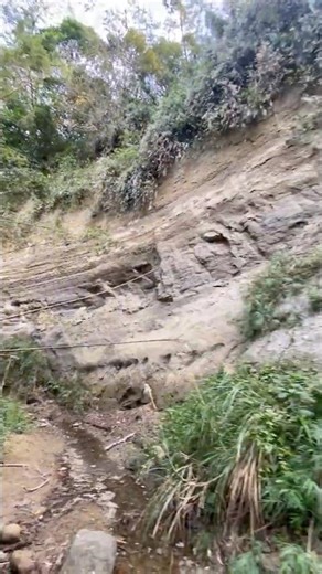 【Tourist Attraction景點】#壯麗岩壁 #龍王峽谷 #海底龍宮 #地質生態奇景 #原海洋潮間帶 #海底化石秘境 #西湖之美 #travel #Miaoli