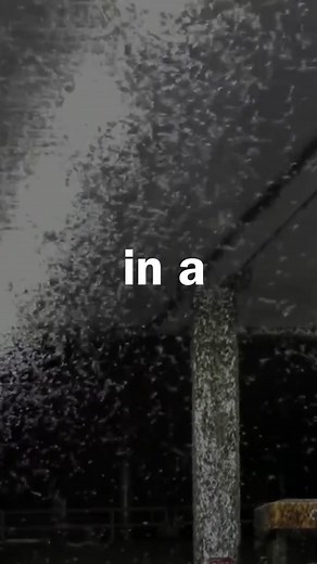 be the spider 🕸 #selfimprovement #motivational #fitnessmotivation