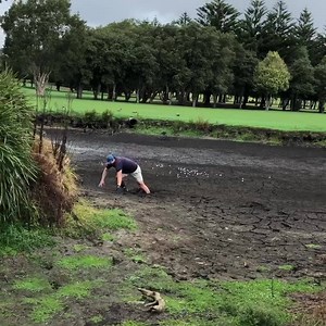 115K views · 588 reactions | Some people would do anything for some free golf balls!  | Golf Gods | Facebook