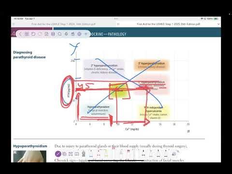 Endocrine lecture #9