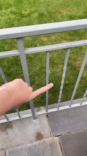 Fidget Toy Trading Tips for Enthusiasts