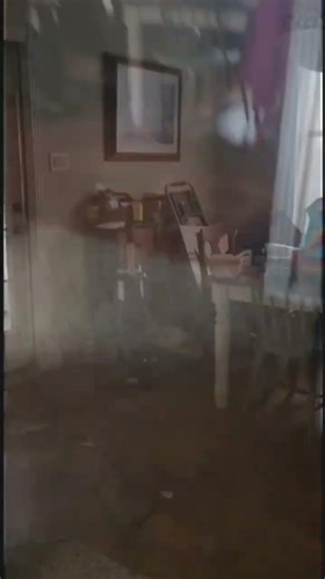 DXM visuals replication