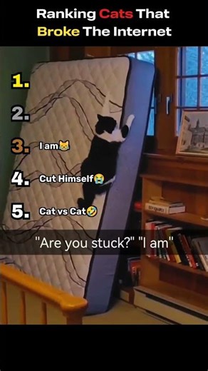 Pls do NOT see the #1...