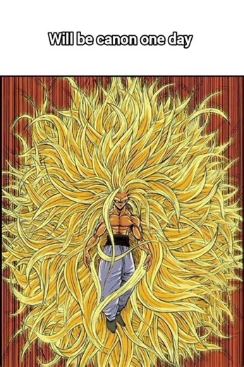 ssj 100