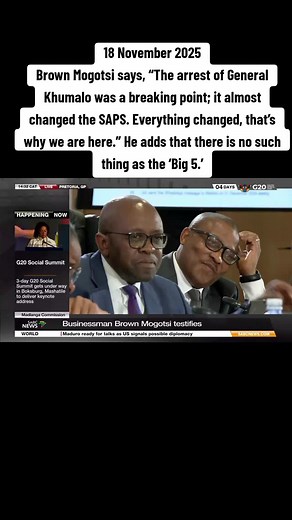 #tiktoknews #madlangacommissionofinquiry #corruption #fraud #saps
