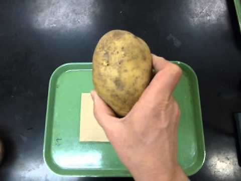 effect of temp on potato catalase enzyme reaction