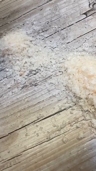 The Murray river salt is a fantastic every day salt 🧂 MURRAY RIVER SALT IS PRODUCED USING THE PRISTINE MINERALISED BRINES FROM ANCIENT SALINE AQUIFERS OF THE MURRAY DARLING BASIN. THE STUNNING PALE PINK HUE OF THE SALT FLAKES IS A RESULT OF THE MINERALISED BRINES WHICH ARE PERTICULAR HIGH IN MAGNESIUM, CALCIUM AND TO A LESSER DEGREE, POTASSIUM AND IODINE. MURRAY RIVER SALT FLAKES ARE VERY SOFT AND FRAGILE AND CREATE A SUPERIOR TEXTURE TO YOUR DISH.