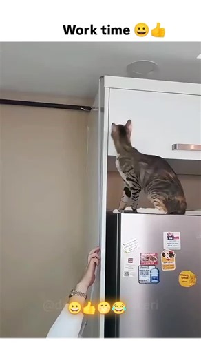 Lavisha 💜 | Kam karna padta hai Mitra | Instagram