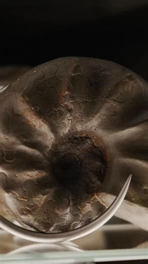 In Julian Charrière’s ‘Spiral Economy’, a vending machine becomes a portal into deep time. Ammonite fossils, millions of years old, are multiplied by mirrors into an endless loop, a closed circuit of reflection and desire.⁠ ⁠ The work stages extraction as habit. A coin is inserted, a product is dispensed, and the transaction appears complete. Yet this everyday choreography rests on a deeper amnesia: the commodities we consume are inseparable from ancient life, transformed into fossil fuels and b