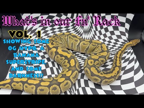 What's in our Fn' Rack Vol. 1 | OG Hypo Clown project Banana Super Stripe and Nanny with Darkness