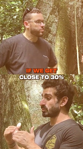 Why the Amazon Rainforest Matters