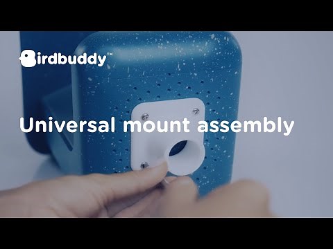 How-To: Universal Pole Mount – Bird Buddy Tutorial