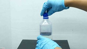 The blue bottle experiment