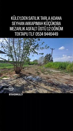 KÜLEY,DEN SATILIK ASFALT ÜSTÜ 12 DÖNÜM TEKTAPU TARLA ADANA SEYHAN AKKAPIMAH