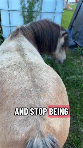 1K views · 8.5K reactions | My marbles have been lost. #pregnantmare | Becca Hammon | Facebook