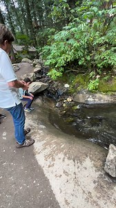 Fish pond at Enchanted Forest in Revelstoke, BC🇨🇦 #fish #pond #enchantedforest | Cecilia Campos